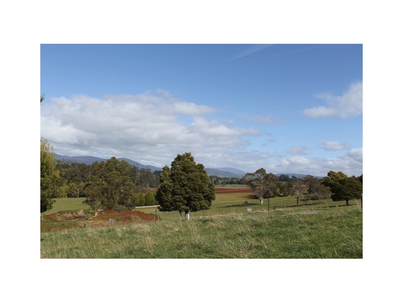 31 Hedley Street, Scottsdale TAS 7260