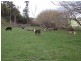 255 Bangor Road, Karoola TAS 7267