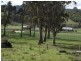 255 Bangor Road, Karoola TAS 7267