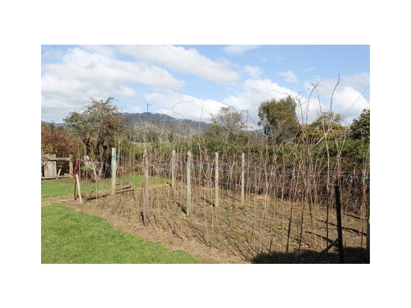 169 South Springfield Road, Scottsdale TAS 7260