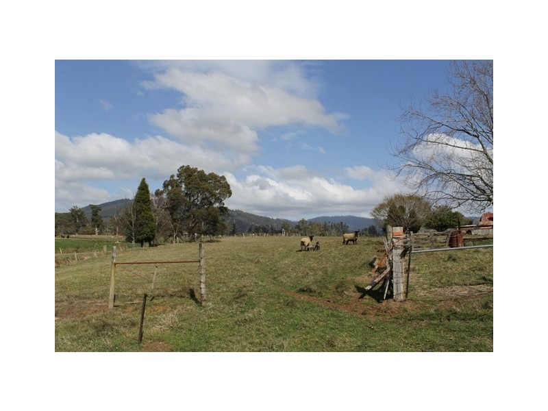 169 South Springfield Road, Scottsdale TAS 7260