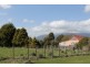 169 South Springfield Road, South Springfield TAS 7260