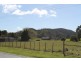 169 South Springfield Road, South Springfield TAS 7260