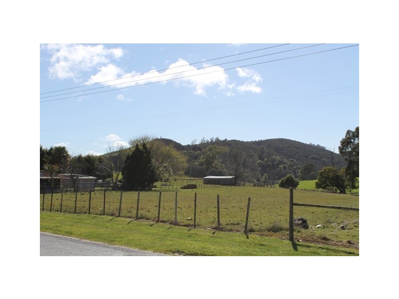 169 South Springfield Road, South Springfield TAS 7260