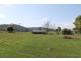 169 South Springfield Road, South Springfield TAS 7260