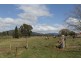169 South Springfield Road, South Springfield TAS 7260
