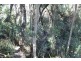 61 Fannys Bay Road, Lulworth TAS 7252