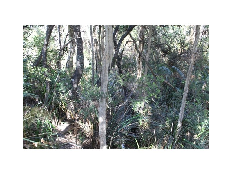 61 Fannys Bay Road, Lulworth TAS 7252