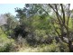 61 Fannys Bay Road, Lulworth TAS 7252