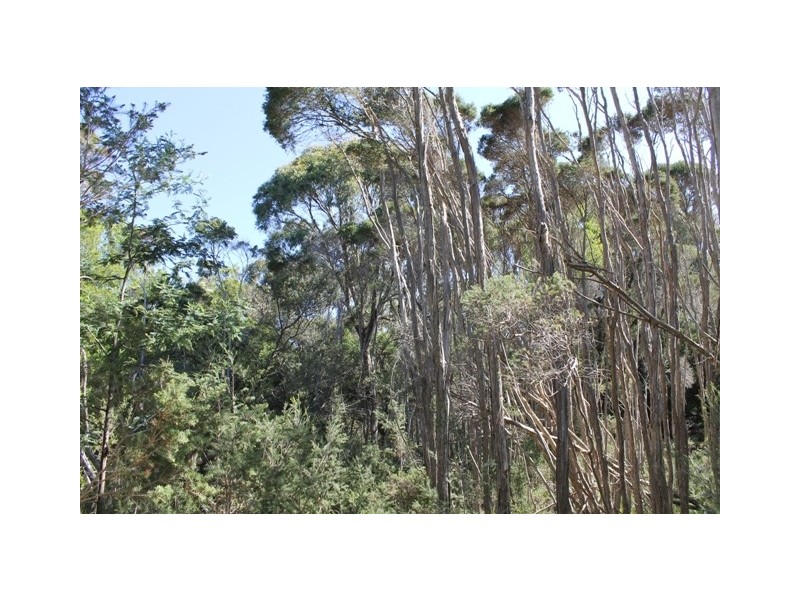 61 Fannys Bay Road, Lulworth TAS 7252