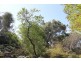 61 Fannys Bay Road, Lulworth TAS 7252