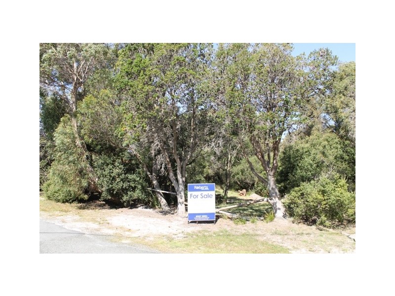 61 Fannys Bay Road, Lulworth TAS 7252