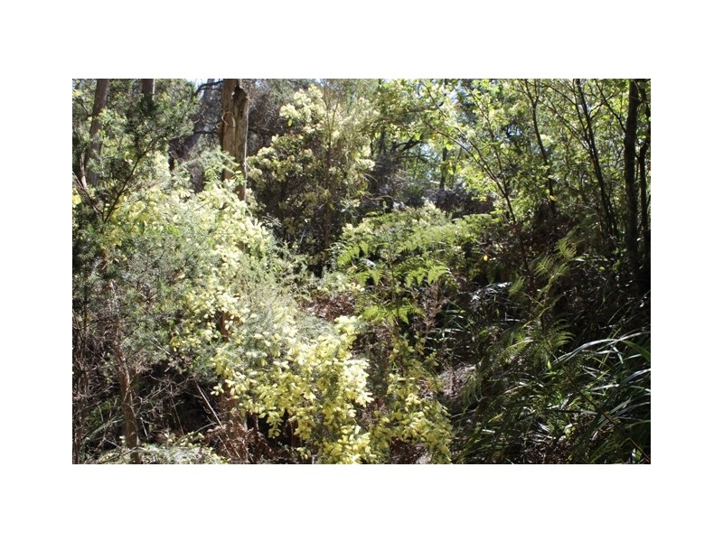 61 Fannys Bay Road, Lulworth TAS 7252