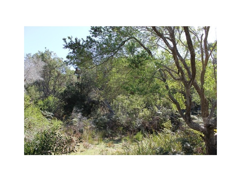 61 Fannys Bay Road, Lulworth TAS 7252