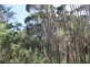 61 Fannys Bay Road, Lulworth TAS 7252