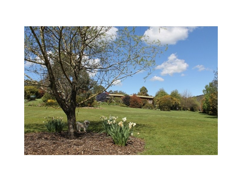 4 Panorama Road, Blackstone Heights TAS 7250