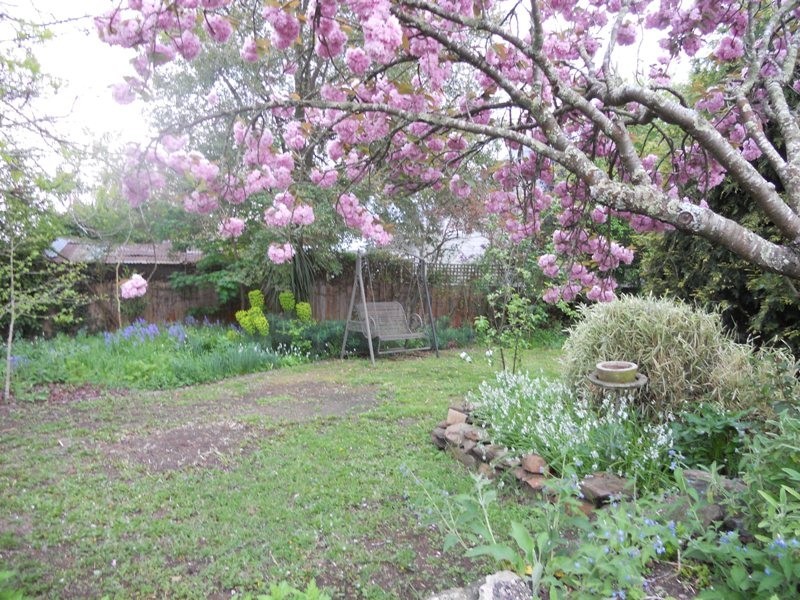 34 William Street, Westbury TAS 7303