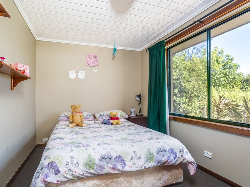 37 Myrtle Road, Youngtown TAS 7249