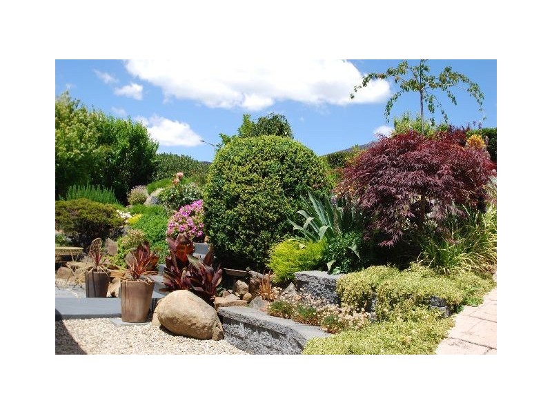 7 Nichols Street, Kings Meadows TAS 7249