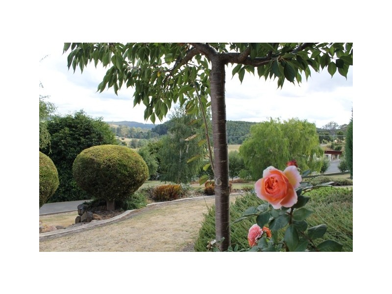 22 Scott Street, Branxholm TAS 7261