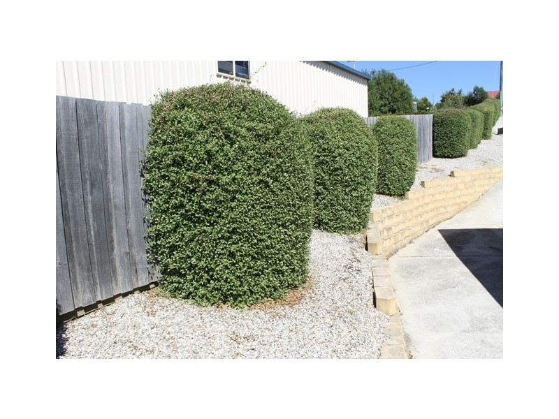 2/28 Lila Drive, Prospect TAS 7250