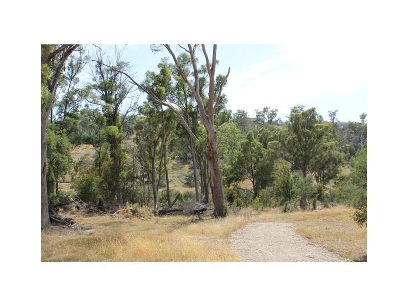 36 Sherborne Drive, Dilston TAS 7252