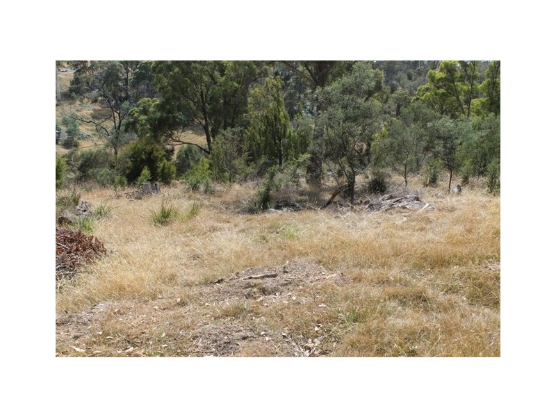 36 Sherborne Drive, Dilston TAS 7252