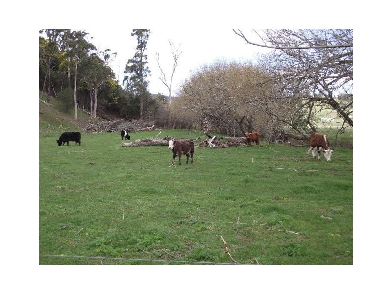 255 Bangor Road, Bangor TAS 7267