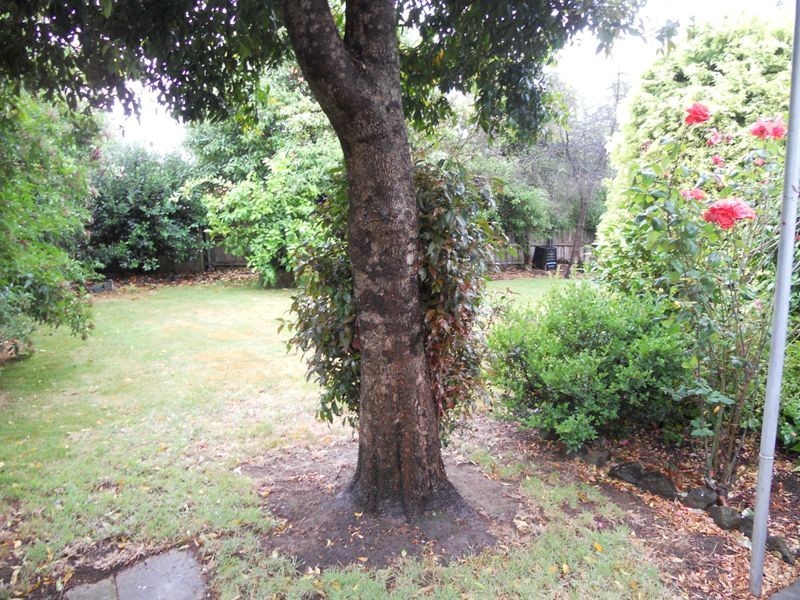 18 Woolston Street, Trevallyn TAS 7250