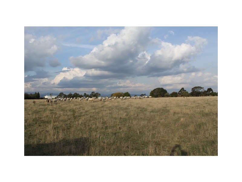 Lot 832 Hobart Road, Breadalbane TAS 7258