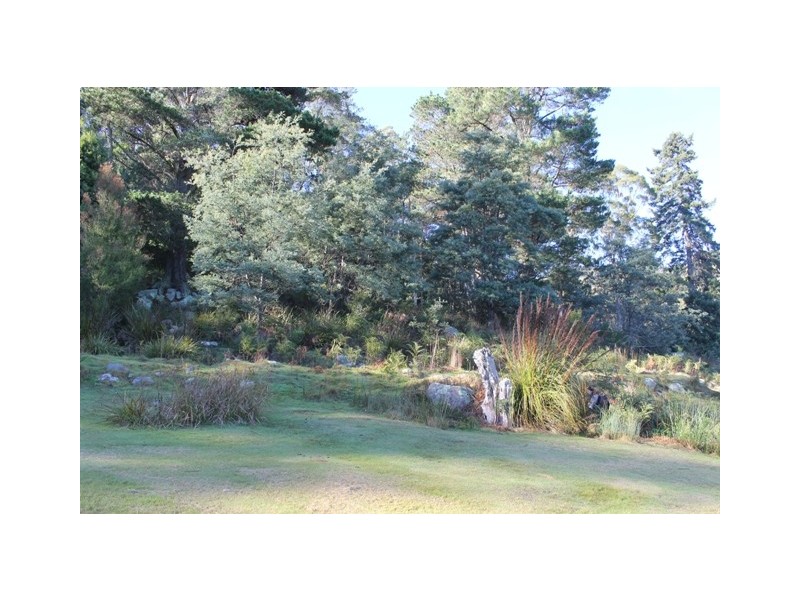 32267 Tasman Highway, Derby TAS 7264