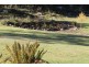 32267 Tasman Highway, Derby TAS 7264
