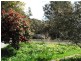 32267 Tasman Highway, Derby TAS 7264