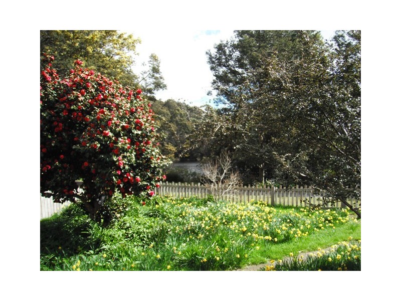 32267 Tasman Highway, Derby TAS 7264
