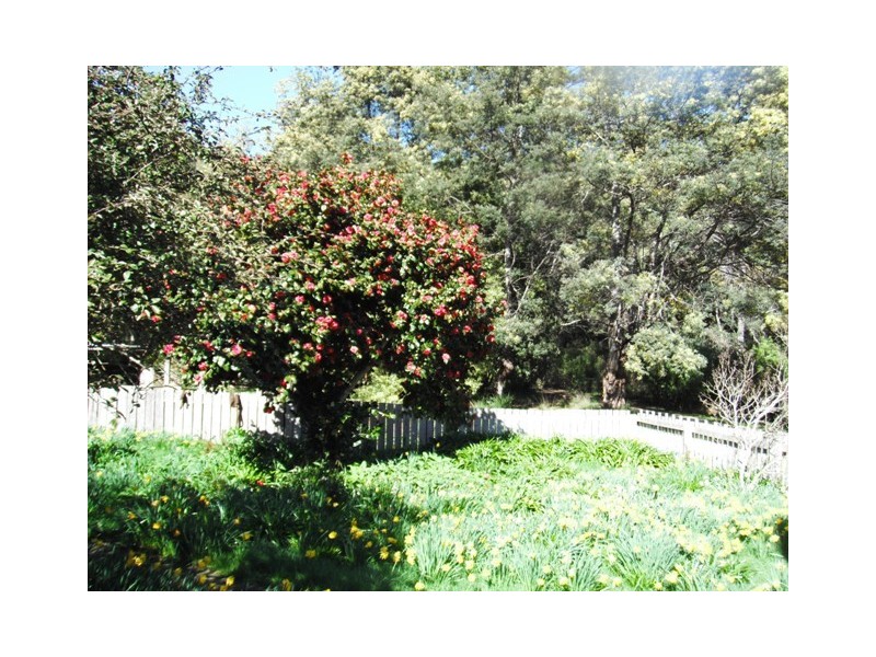 32267 Tasman Highway, Derby TAS 7264