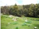 32267 Tasman Highway, Derby TAS 7264