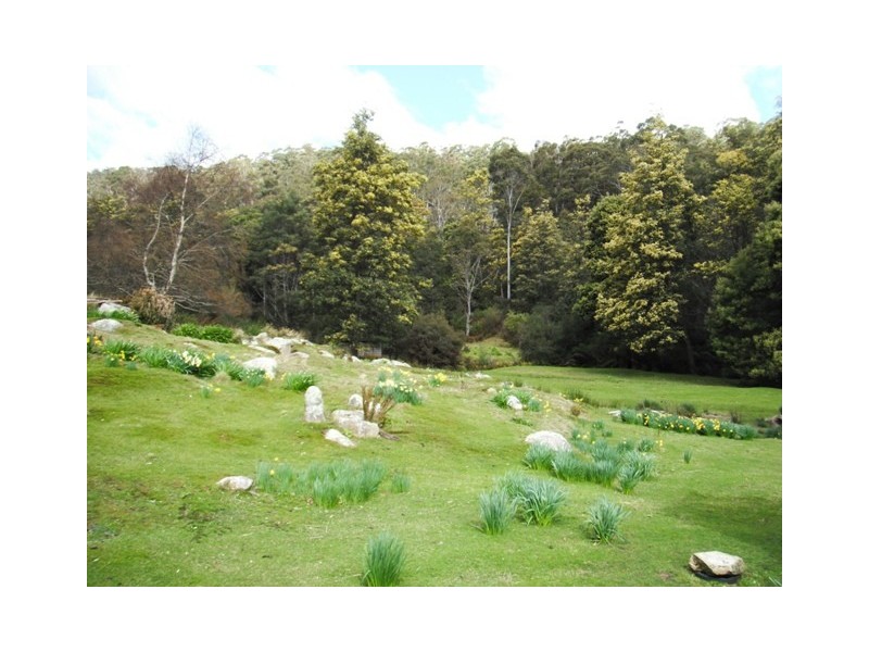 32267 Tasman Highway, Derby TAS 7264