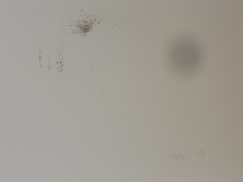 2 Treherne Street, Mayfield TAS 7248