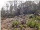 675 Whites Mill Road, Underwood TAS 7268
