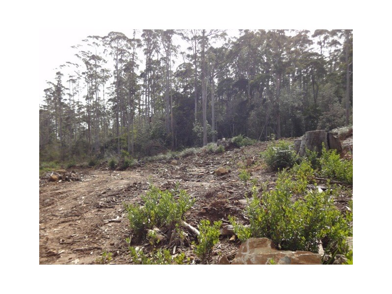 675 Whites Mill Road, Underwood TAS 7268