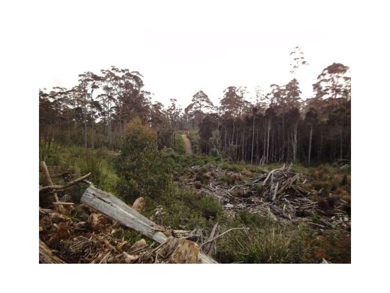 675 Whites Mill Road, Underwood TAS 7268