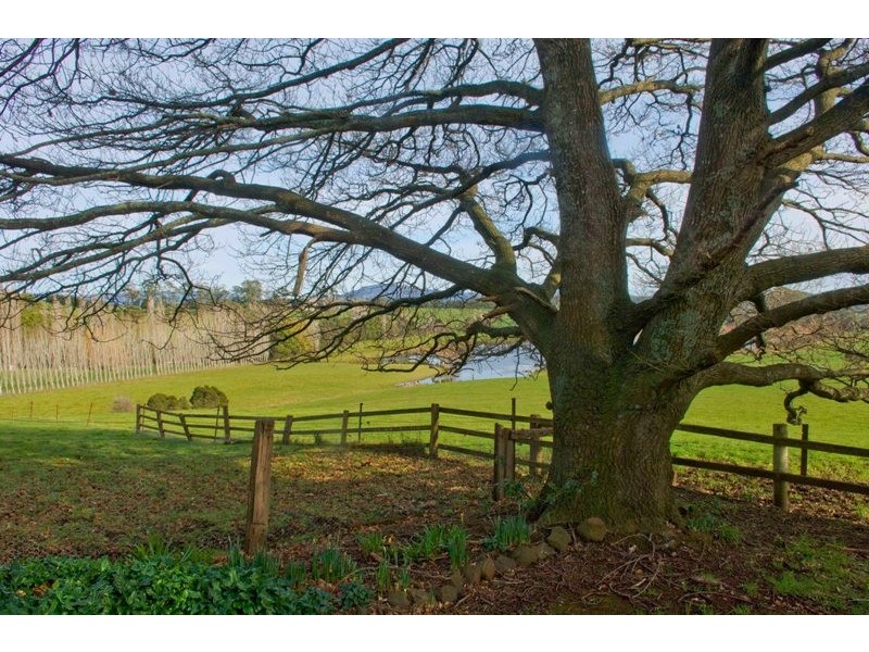 5283 Bass Highway, Deloraine TAS 7304