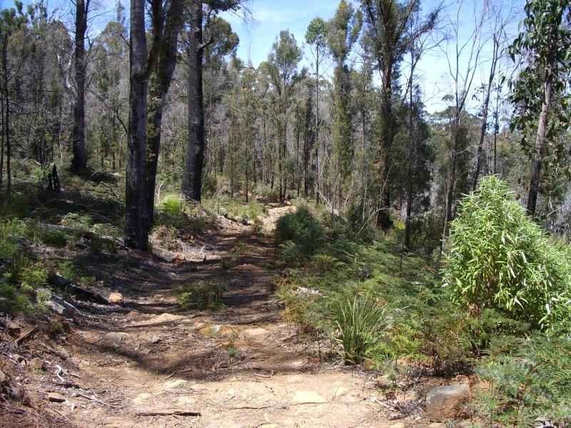 242 Prossers Road, Nunamara TAS 7259