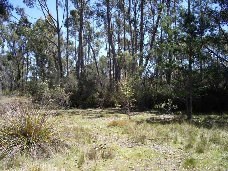 242 Prossers Road, Nunamara TAS 7259