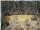 242 Prossers Road, Nunamara TAS 7259