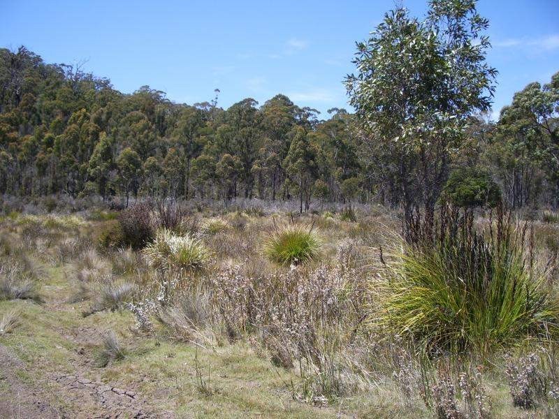 242 Prossers Road, Nunamara TAS 7259