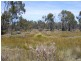 242 Prossers Road, Nunamara TAS 7259