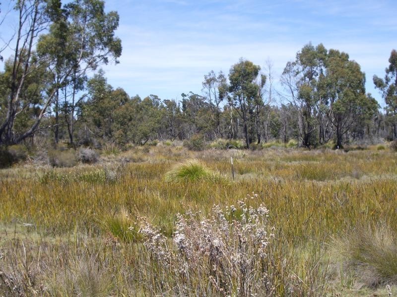 242 Prossers Road, Nunamara TAS 7259