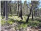 242 Prossers Road, Nunamara TAS 7259