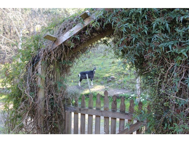 27 Atkinsons Road, Grindelwald TAS 7277